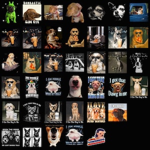 May include: A collection of images featuring dogs in various poses and settings. Some dogs wear sunglasses, hold drinks, or eat pizza. Text includes "BOMBASTIC SIDE EYE", "I'M PIRBLE", and "I GOT THAT DAWG IN ME".