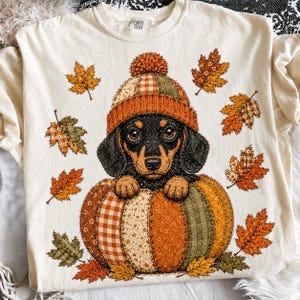 Dachshund Fall PNG,Patchwork Pumpkin Dog,Faux Embroidery Autumn Shirt Design, Cozy Thanksgiving Sublimation, Digital Download for Dog Lovers