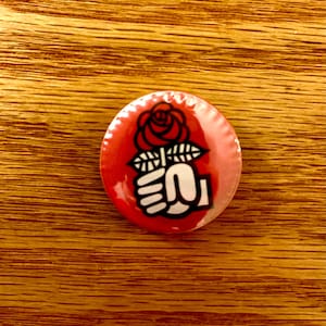 Socialist Rose Pin-back button