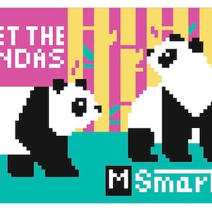 DC Needlepoint chart - Panda Metro Card digital download PDF