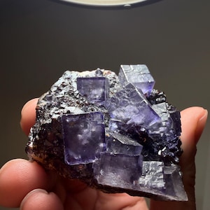 Könnte beinhalten: Eine Ansammlung von durchscheinenden, tiefvioletten, würfelförmigen Fluoritkristallen auf einer dunklen, strukturierten Mineralmatrix. Die geometrischen Kristallformationen weisen scharfe Kanten und unterschiedliche Transparenzgrade auf.