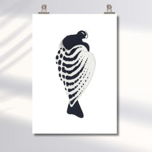 Pode incluir: Impressão de arte abstrata com um design em preto e branco que se assemelha a um pássaro ou forma abstrata. A obra de arte é exibida em um fundo branco, fixada com clipes prateados. O design incorpora padrões sólidos e pontilhados.