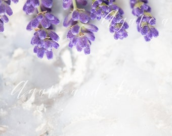 Lavender on Marble - Modern High Res Stock Photography Lay- flat Mock-up Digital Download