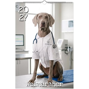 Könnte beinhalten: Ein Wandkalender für 2027 mit einem Weimaraner, der ein weißes Hemd mit Knopfleiste und ein Stethoskop um den Hals trägt. Auf der Brust des Hemdes befinden sich ein Pfotenabdruck-Symbol und der Text DR. BAUER, DVM. Das Kalenderjahr 2027 ist sichtbar.