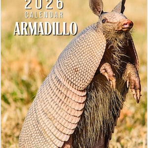 2026 Armadillo Wall Calendar: Wildlife Art Print, Animal Theme Decor, Armadillo Lovers Gift, 12-Month Calendar with US and UK Holidays