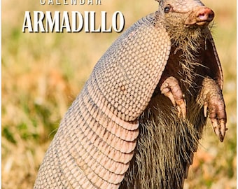2026 Armadillo Wall Calendar: Wildlife Art Print, Animal Theme Decor, Armadillo Lovers Gift, 12-Month Calendar with US and UK Holidays