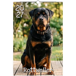 Könnte beinhalten: Ein Wandkalender für 2027 mit dem Porträt eines schwarz-lohfarbenen Rottweilers, der ein dunkles Lederhalsband trägt. Der Hund sitzt auf einer Holzoberfläche. Der Text 2027 ist oben links in Weiß gedruckt und das Wort Rottweiler steht in Weiß am unteren Rand.