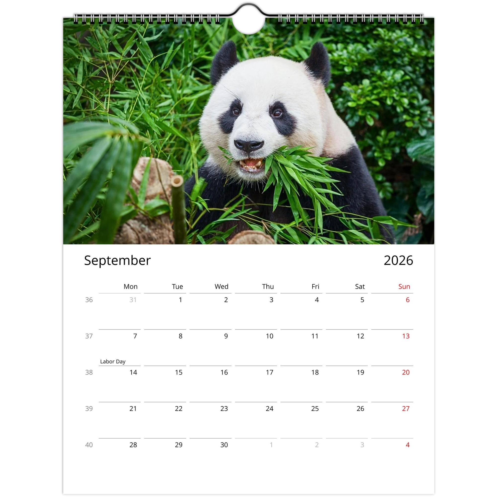 2026 Panda Wall Calendar: Wildlife Art Print, Animal Theme Decor ...