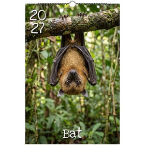 May include: A wall calendar featuring a brown bat hanging upside down from a mossy tree branch. The calendar displays the year 2027 in white text at the top left and the word Bat in white text at the bottom center against a green forest background.