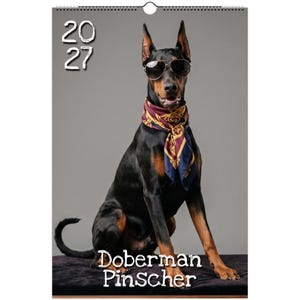 May include: A 2027 wall calendar featuring a black and tan Doberman Pinscher wearing dark aviator sunglasses and a maroon, gold, and blue patterned neck scarf. The text 2027 is printed in white at the top left, and Doberman Pinscher is at the bottom.
