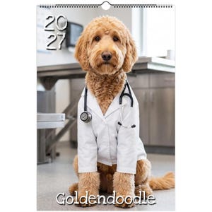 Könnte beinhalten: Ein Wandkalender für das Jahr 2027 mit einem goldfarbenen Hund, der einen weißen Laborkittel und ein schwarzes Stethoskop um den Hals trägt. Der Hund sitzt in einer klinischen Umgebung. Die Jahreszahl 2027 steht oben links in weißer Schrift.