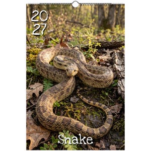 May include: A 2027 wall calendar featuring a high-resolution photograph of a brown and tan patterned snake coiled on a forest floor with leaves, moss, and tree bark. The text 2027 is printed in white at the top left, and the word Snake is at the bottom.