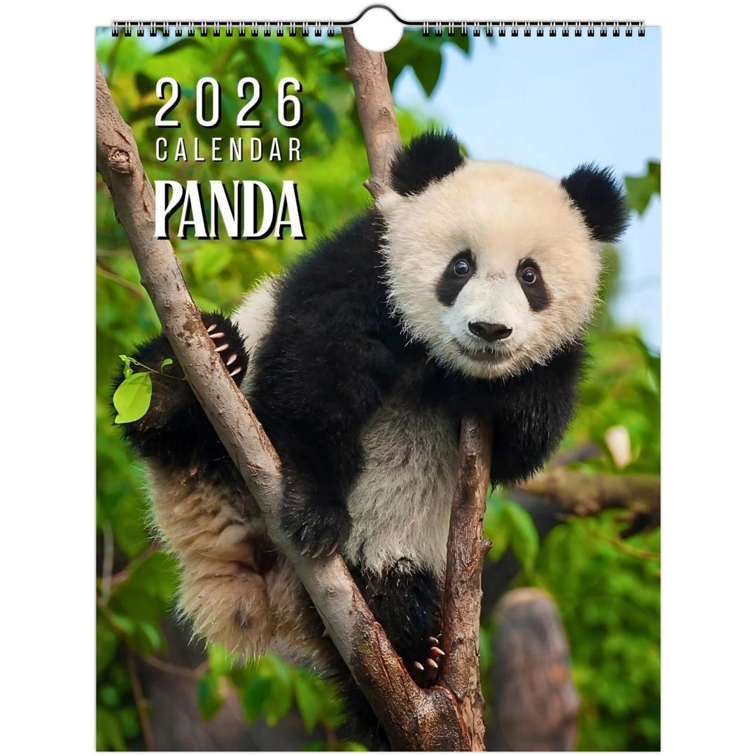 2026 Panda Wall Calendar: Wildlife Art Print, Animal Theme Decor ...