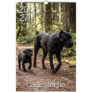 May include: A 2027 wall calendar featuring a photograph of a large black Cane Corso dog walking alongside a small black Cane Corso puppy on a dirt path in a forest. The text 2027 is printed in white in the top left corner and Cane Corso at the bottom.