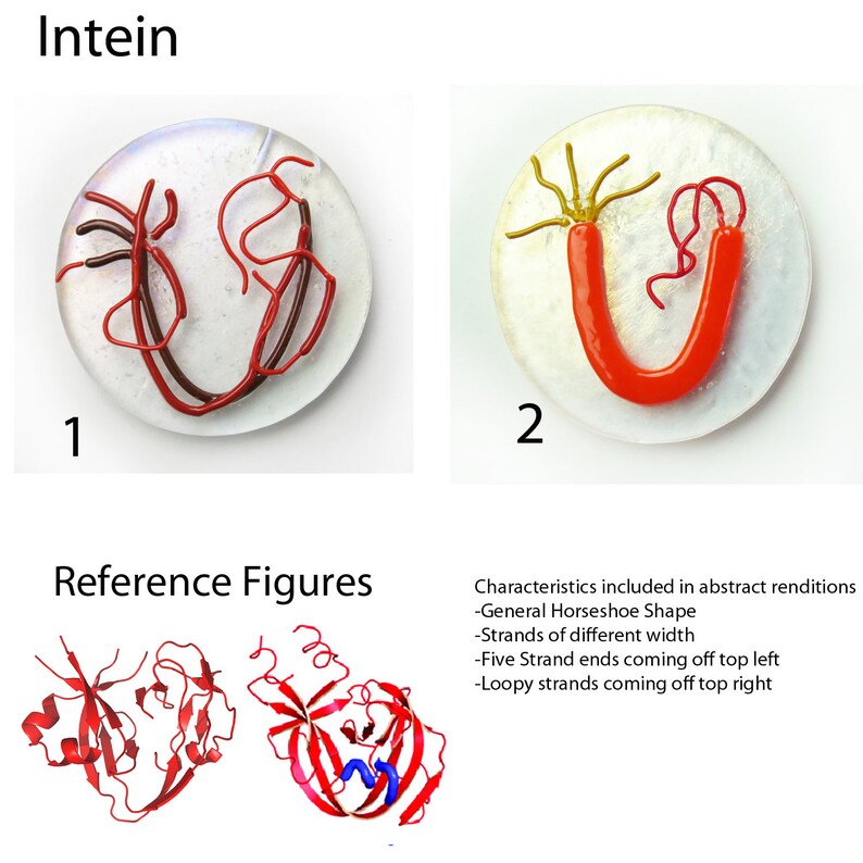 Intein Protein Segment Fused Glass Ornament