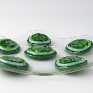 Cyanobacteria Microcystis aeruginosa Colony Fused Glass Dish image 4