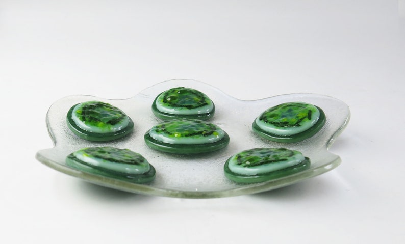 Cyanobacteria Microcystis aeruginosa Colony Fused Glass Dish image 4