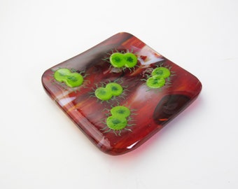 Neisseria gonorrhoeae Bacteria Fused Glass Dish