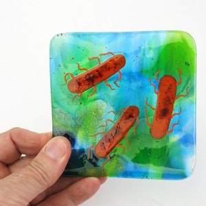 E coli or Salmonella Bacteria Fused Glass Dish image 4