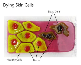 Dying Skin Cells Fused Glass Dish