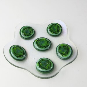 Cyanobacteria Microcystis aeruginosa Colony Fused Glass Dish image 5