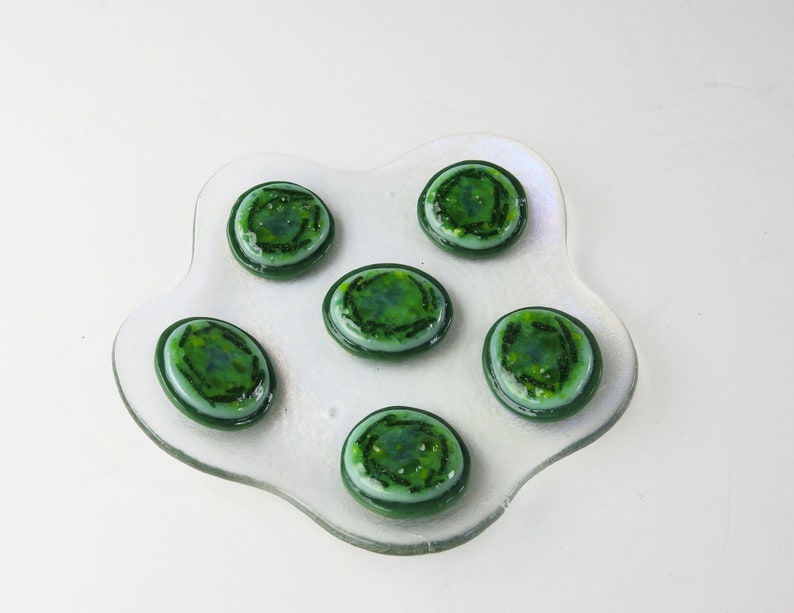 Cyanobacteria Microcystis aeruginosa Colony Fused Glass Dish image 5