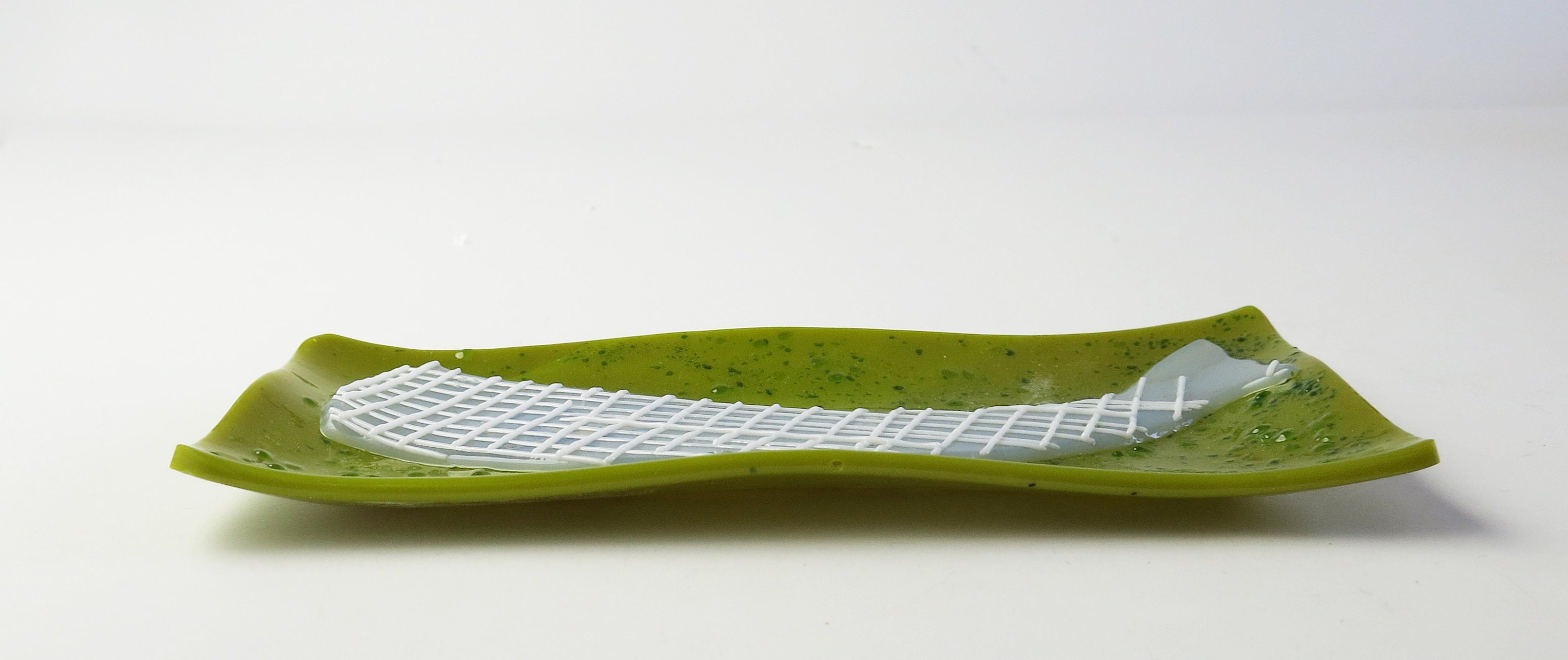 Venus' flower basket Hexactinellid sponge with Shrimp Etsy