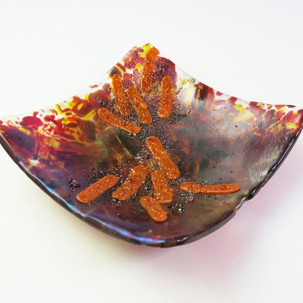 Bacteria Colony Fused Glass Dish