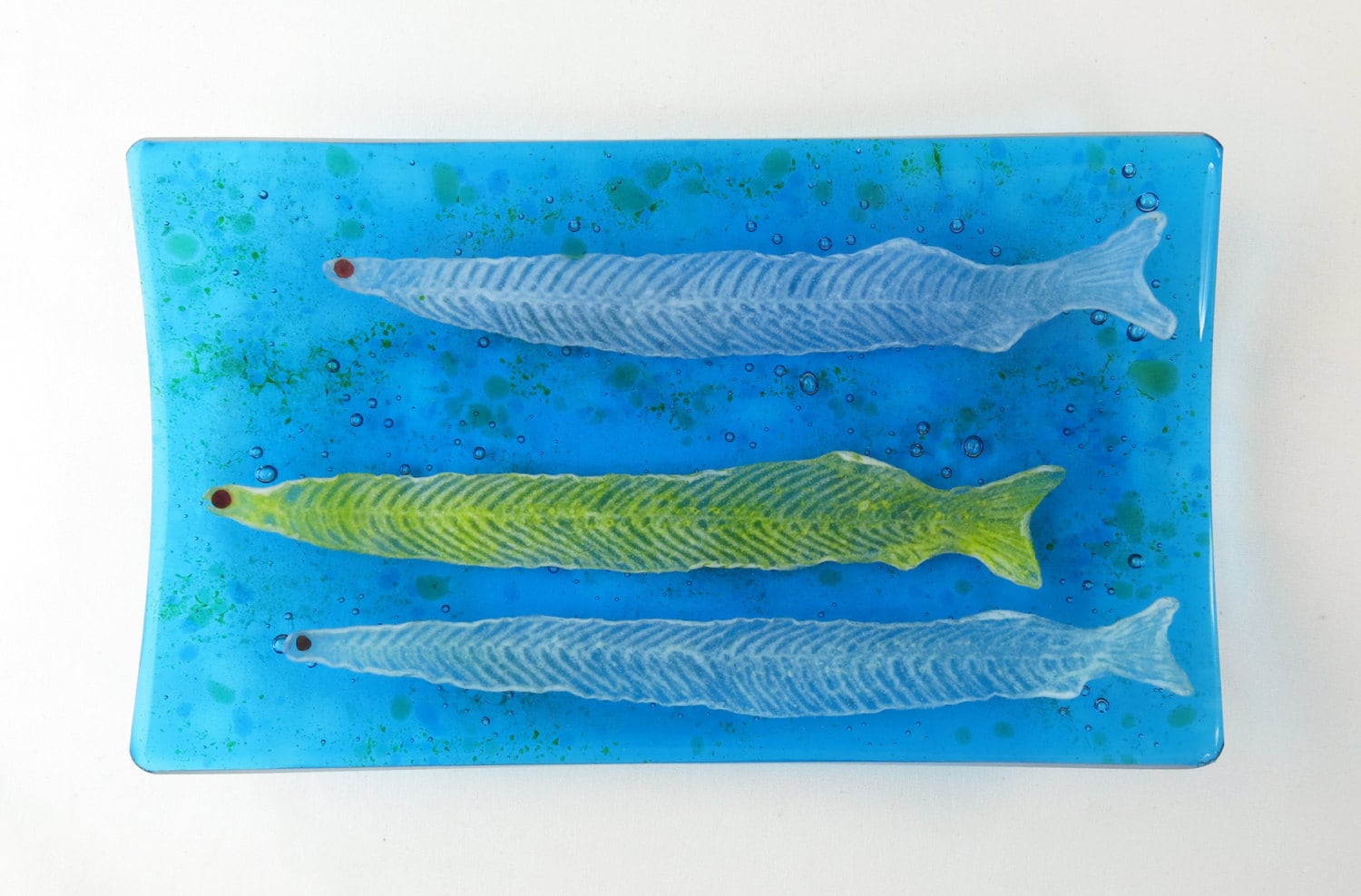 Tarpon Leptocephalus Fish Larva Fused Glass Dish - Etsy