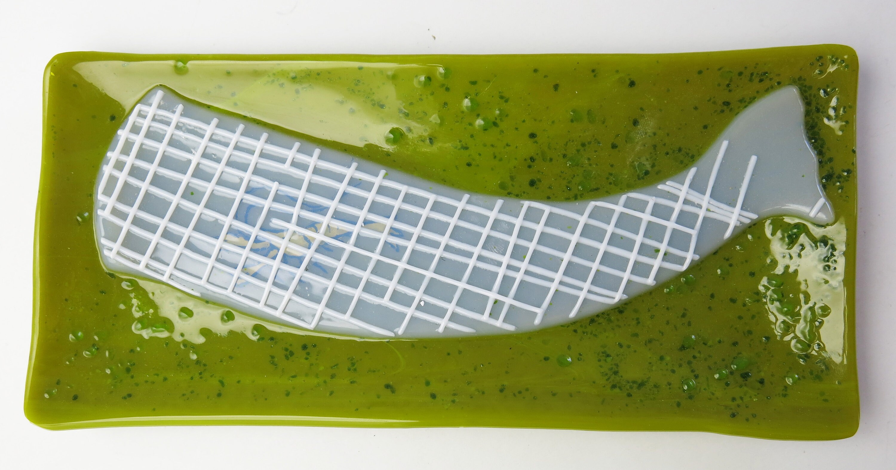 Venus' flower basket Hexactinellid sponge with Shrimp Etsy