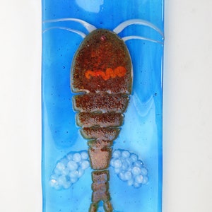 Mesocyclops Copepod infested Dracunculus medinensis Guinea Worm larva Fused Glass Dish image 2