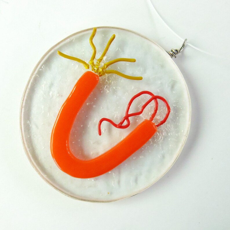Intein Protein Segment Fused Glass Ornament