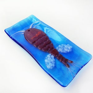 Mesocyclops Copepod infested Dracunculus medinensis Guinea Worm larva Fused Glass Dish image 3