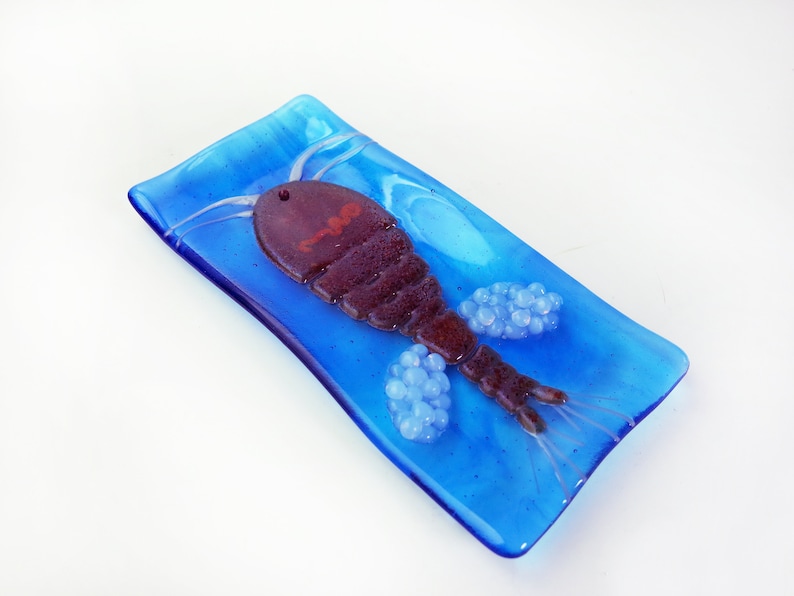 Mesocyclops Copepod infested Dracunculus medinensis Guinea Worm larva Fused Glass Dish image 3