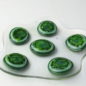 Cyanobacteria Microcystis aeruginosa Colony Fused Glass Dish image 3