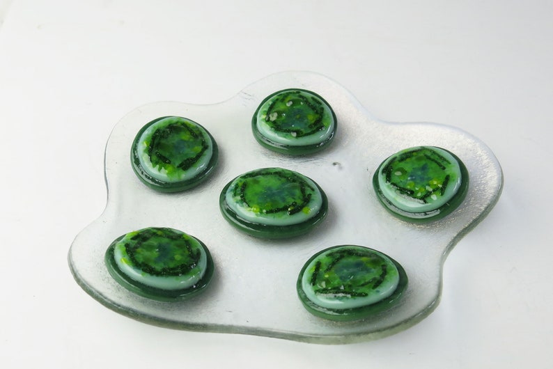 Cyanobacteria Microcystis aeruginosa Colony Fused Glass Dish image 3