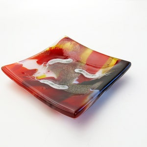 Helicobacter pylori Bacteria Fused Glass Dish