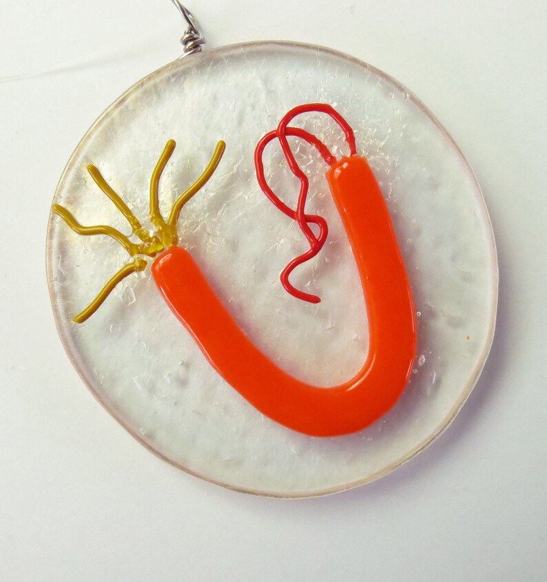 Intein Protein Segment Fused Glass Ornament
