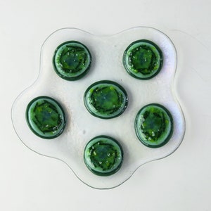 Cyanobacteria Microcystis aeruginosa Colony Fused Glass Dish image 2