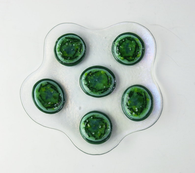 Cyanobacteria Microcystis aeruginosa Colony Fused Glass Dish image 2