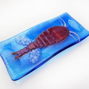 Mesocyclops Copepod infested Dracunculus medinensis Guinea Worm larva Fused Glass Dish image 7