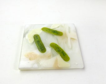 E coli or Salmonella Bacteria Fused Glass Dish