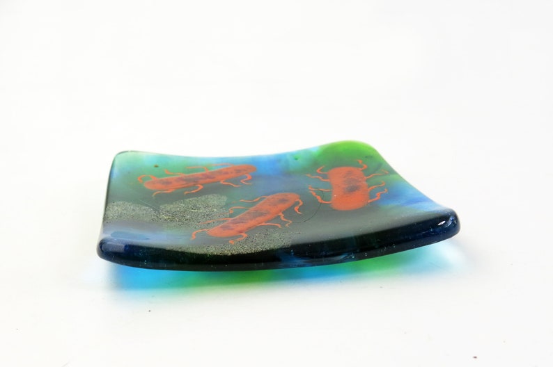 E coli or Salmonella Bacteria Fused Glass Dish image 3