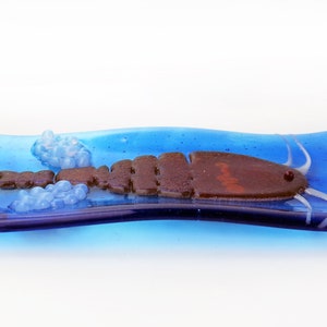 Mesocyclops Copepod infested Dracunculus medinensis Guinea Worm larva Fused Glass Dish image 6