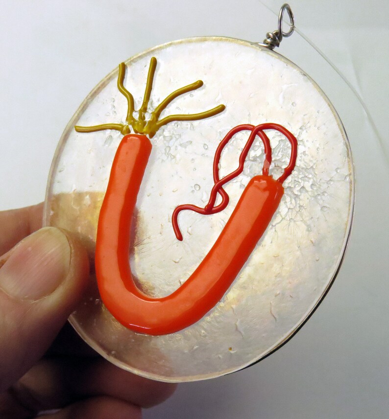Intein Protein Segment Fused Glass Ornament