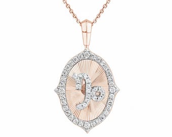 Collar con colgante del signo zodiacal Capricornio, colgante con dije de Capricornio con diamante cultivado en laboratorio, regalo de joyería astrológica, collar del zodíaco, regalo de cumpleaños para ella.
