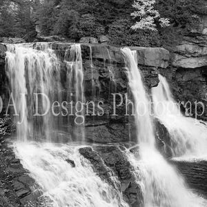 Black and white waterfall photo | Blackwater Falls West Virginia art print | scenic landscape photo | waterfall nature photography