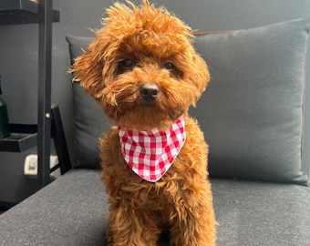 Bandana bordada a mano para perros - Bandana personalizada 100 % algodón para atar - Accesorios personalizados para mascotas para perros pequeños y grandes