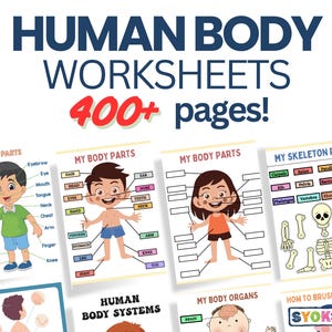 Human Body Worksheets / Busy Book Bundle Set | Printable PDF | Learn Body Parts & Anatomy | Science Activity| Kids Preschool Kindergarten