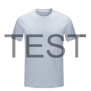 May include: A light blue t-shirt with a crew neck.